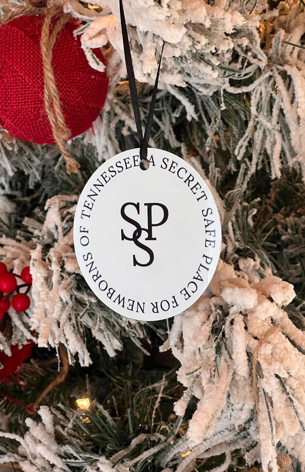 2023 Christmas Ornament